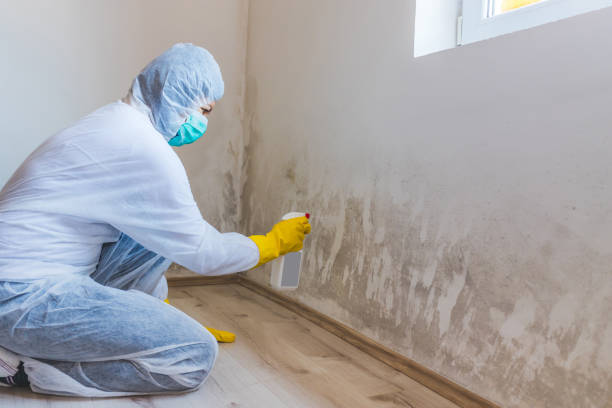 Bathroom Mold Removal assessment in Little Silver bathroom